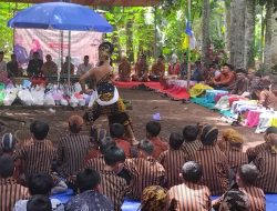 Festival Tenong, Wujud Syukur dan Cermin Kerukunan Warga Desa Jati Cilacap 