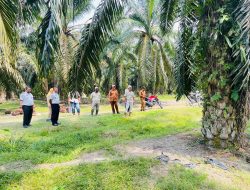Optimalisasi Aset Negara, Kalapas Labuhan Ruku Tinjau Lahan dan Rencana Penumbangan Sawit di Air Joman
