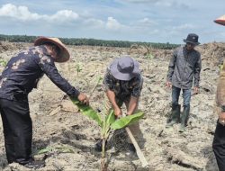 Dari Lahan Tidur ke Lahan Subur: Lapas Labuhan Ruku Tanam 500 Bibit Pisang, Perkuat Ketahanan Pangan dan Kemandirian WBP