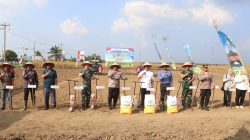 Kekompakan Forkopimda! Kapolres, Dandim, dan Ketua DPRD Simalungun Kompak Tanam Jagung Serentak Dukung Swasembada Pangan