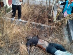 Polsek Perdagangan Gerak Cepat Tangani Penemuan Mayat Misterius di Simalungun