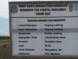 KEGIATAN PENANAMAN MANGROVE UNTUK KETAHANAN PESISIR KUALUH LEIDONG DIDUGA TIDAK SESUAI PERENCANAAN