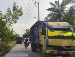 Bahayakan Pengguna dan Terlihat Kumuh, Warga Keluhkan Jalan Semak Belukar Sepanjang Kecamatan Nibung Hangus