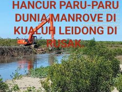 Desakan Audit dan Investigasi Program Rehabilitasi Mangrove di Kualuh Leidong