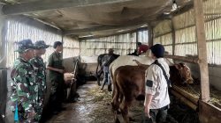 Dispertan Cilacap Terjunkan Ratusan Petugas Periksa Hewan Kurban 