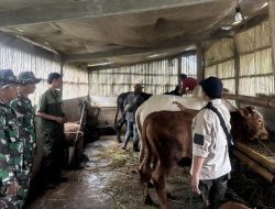 Dispertan Cilacap Terjunkan Ratusan Petugas Periksa Hewan Kurban 