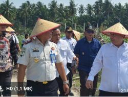 Dirpamintel Ditjenpas Tinjau Ketahanan Pangan di Lahan Air Joman dan Monev Lapas Labuhan Ruku, Pengamanan Sesuai SOP dan Pertanian Produktif Tuai Apresiasi
