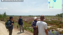 Dalih Ketahanan Pangan, Hutan Lindung Kembali Terancam: Siapa Bermain di Balik Rencana 140 Hektare di Kualuh Leidong?