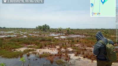 Gempar Mengutuk Rencana Alih  Fungsi Hutan Lindung di Tanjung Leidong : “Labuhan Batu Utara