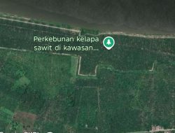 Hutan Lindung Jadi Sawit, Warga Teluk Pulai Luar Terancam: Banjir Rob dan Abrasi Capai 10 Meter per Tahun