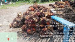 “Puluhan Tahun Kuasai Hutan Produksi Tanpa Izin, Pengusaha Bebas Raup Untung — Warga Air Hitam Kebagian Banjir”
