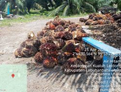 “Puluhan Tahun Kuasai Hutan Produksi Tanpa Izin, Pengusaha Bebas Raup Untung — Warga Air Hitam Kebagian Banjir”
