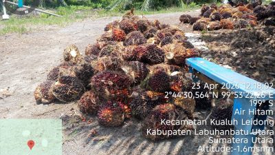 “Puluhan Tahun Kuasai Hutan Produksi Tanpa Izin, Pengusaha Bebas Raup Untung — Warga Air Hitam Kebagian Banjir”