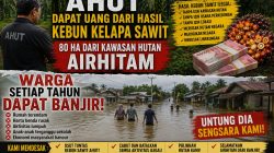 Diduga Kuasai Kawasan Hutan Produksi Secara Ilegal, Kebun Sawit Milik AHUT Disebut Rugikan Negara dan Ancam Keselamatan Warga