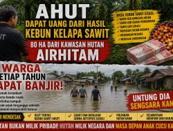 Diduga Kuasai Kawasan Hutan Produksi Secara Ilegal, Kebun Sawit Milik AHUT Disebut Rugikan Negara dan Ancam Keselamatan Warga