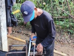 Jasa Perawatan Kambing di Cilacap Banjir Orderan Jelang Idul Adha