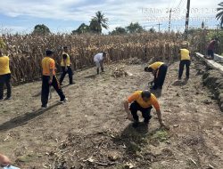 Kapolsek Tanah Jawa Pimpin Langsung Apel Korve Panen Raya Jagung Serentak Kuartal II 2026, Polri Hadir Nyata di Tengah Masyarakat Tani