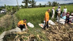 Kapolsek Tanah Jawa Pimpin Langsung Apel Korve Panen Raya Jagung Serentak Kuartal II 2026, Polri Hadir Nyata di Tengah Masyarakat Tani