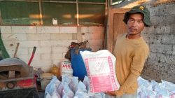 Petani di Bantarsari Cilacap Olah Kotoran Sapi Jadi Pupuk Organik