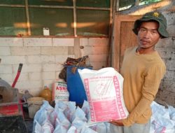 Petani di Bantarsari Cilacap Olah Kotoran Sapi Jadi Pupuk Organik