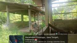8 Ekor Sapi Program UPPO Tahun Anggaran 2023 Diduga Dijual Semua  ini Terjadi di Desa Mandala Cimanggu