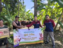 Jelang Idul Adha, PLTU Cilacap Salurkan 35 Ekor Sapi dan 11 Kambing