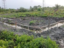 KDMP Tali air permai di bangun di tempat terpencil jauh dari pemukiman Warga minta tinjau ulang