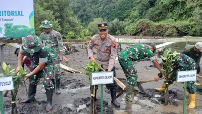 *Kapolsek Adipala dan Forkopimda Tanam Mangrove di Gunung Selok, Perkuat Kelestarian Pesisir*