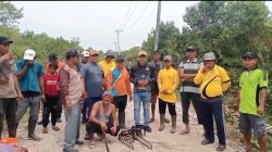 Kerja Nyata Lurah Bagan Arya Hasilkan Jalan Utama Kelurahan Sedap Dilihat Mata