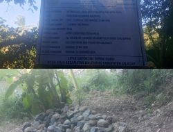 Proyek Optimalisasi Lahan   Non Rawa Gapoktan Serba Guna Diduga Mengunakan Batu Dilokasi 