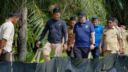 Hadiri Panen Raya di Gambus Laut, Bupati Batu Bara Dukung Pengembangan Budidaya Udang Vaname