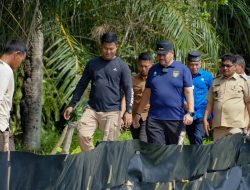 Hadiri Panen Raya di Gambus Laut, Bupati Batu Bara Dukung Pengembangan Budidaya Udang Vaname