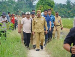 Dorong Penerapan Pertanian Modern, Bupati Batu Bara Tinjau Persawahan PM-AAS di Desa Suka Raja*