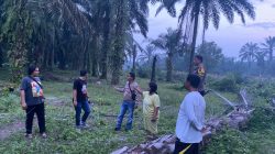 Respon Kilat Call Center 110! Polsek Tanah Jawa Gerak Cepat Tindaklanjuti Laporan Warga Terkait Dugaan Peredaran Sabu