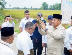 Bupati Batu Bara Dorong Ketahanan Pangan, Panen Raya Lumbung Pangan Baznas jadi Bukti Sinergi Pemerintah dan Petani*