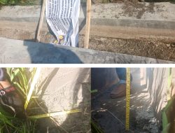 Diduga Pekerjaan P3-TGAI Desa Sarwadadi Demi Keuntungan  Tidak Sesuai Bistek