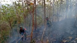 Gerak Cepat Koramil 14/Cimanggu Padamkan Kebakaran Lahan di Bantarmangu