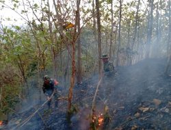 Gerak Cepat Koramil 14/Cimanggu Padamkan Kebakaran Lahan di Bantarmangu