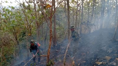 Gerak Cepat Koramil 14/Cimanggu Padamkan Kebakaran Lahan di Bantarmangu