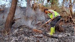Gerak Cepat Polsek Cimanggu Bersama Warga Jinakkan Api, Kebakaran Lahan Berhasil Dipadamkan