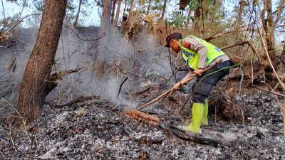Gerak Cepat Polsek Cimanggu Bersama Warga Jinakkan Api, Kebakaran Lahan Berhasil Dipadamkan