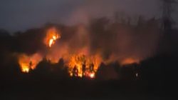 Respons Cepat, Babinsa Koramil 06/Kesugihan Bersama Polsek dan Perangkat Desa Cek Kebakaran Lahan di Desa Dondong
