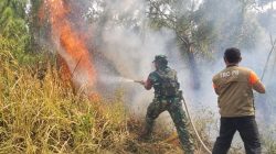 Babinsa Koramil 13/Majenang Bersama Perhutani Cegah Kebakaran Meluas