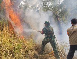 Babinsa Koramil 13/Majenang Bersama Perhutani Cegah Kebakaran Meluas