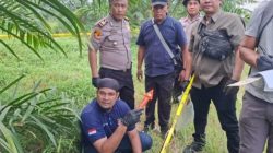 Wanita 59 Tahun Tewas di Kebun PTPN IV, Polisi Temukan Botol Racun Rumput di Lokasi