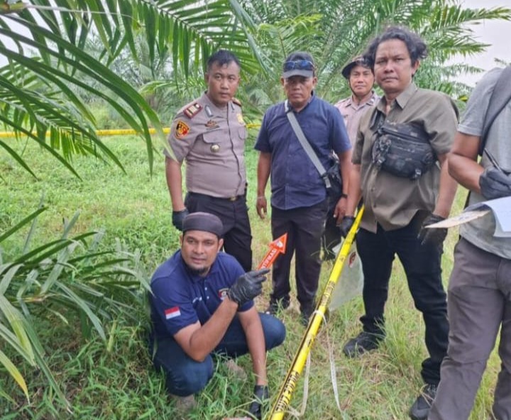 Wanita 59 Tahun Tewas di Kebun PTPN IV, Polisi Temukan Botol Racun Rumput di Lokasi