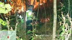 Respons Laporan Call Center 110, Polsek Cimanggu Bersama Warga Padamkan Kebakaran Lahan di Cimanggu