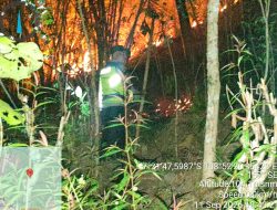 Respons Laporan Call Center 110, Polsek Cimanggu Bersama Warga Padamkan Kebakaran Lahan di Cimanggu