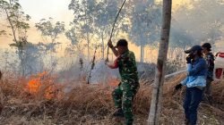 Anggota Koramil 17/Dayeuhluhur Padamkan Kebakaran Lahan PTPN IX Warnasari