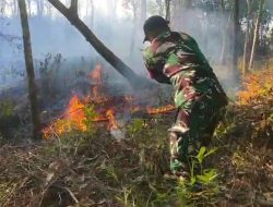 Babinsa Koramil 17/Dayeuhluhur Bersama Warga Padamkan Kebakaran Lahan Karet 